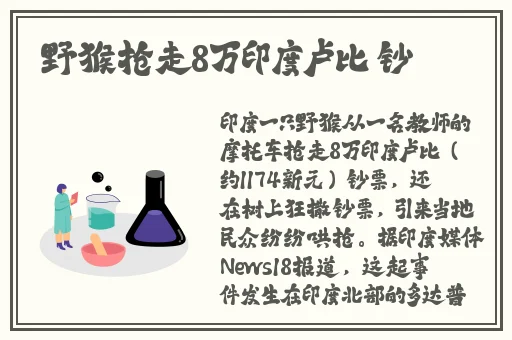 8888国产精华最好的产品