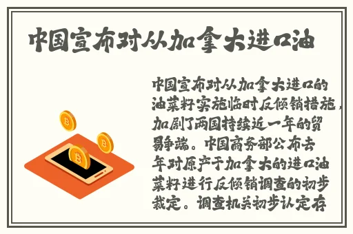 中文精品久久久久国产网址